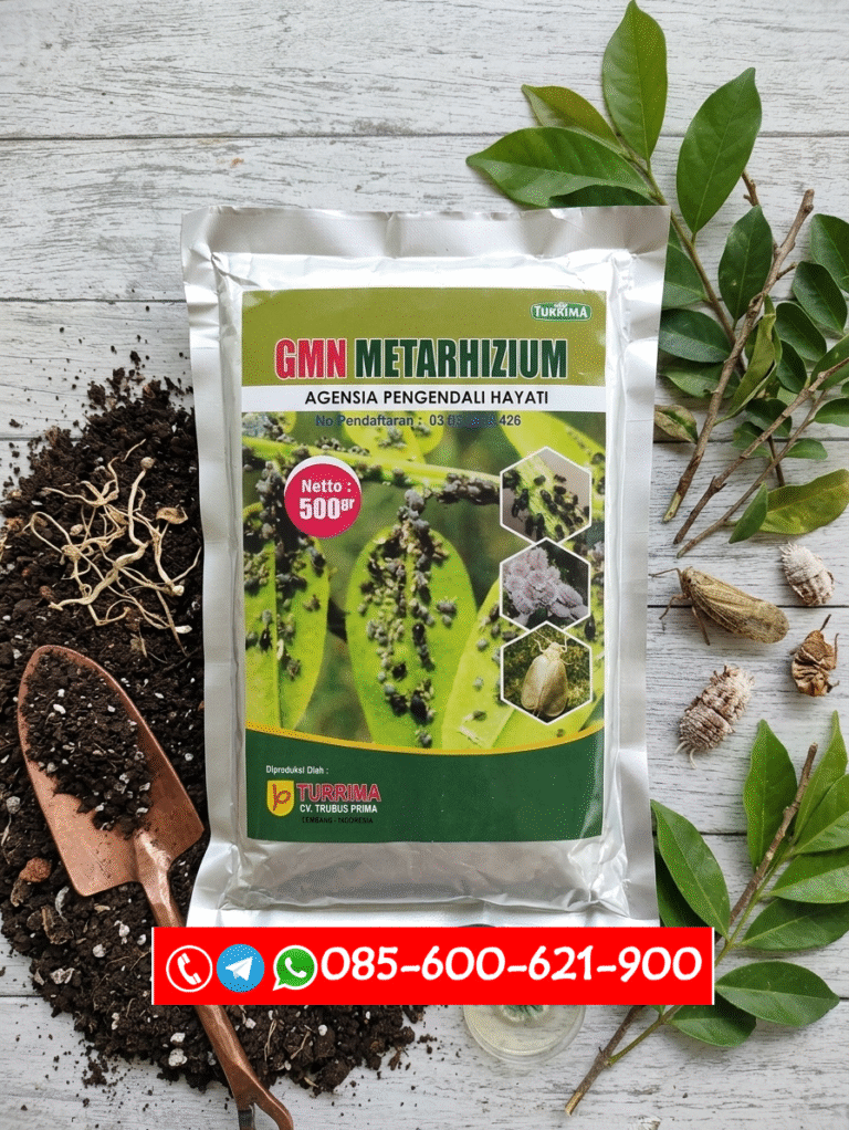 TERBATAS.085-600-621-900, Agen obat hama kutu putih Rokan hulu, Distributor obat hama kutu daun pelalawan, Grosir obat hama thrips Rokan Hilir,
