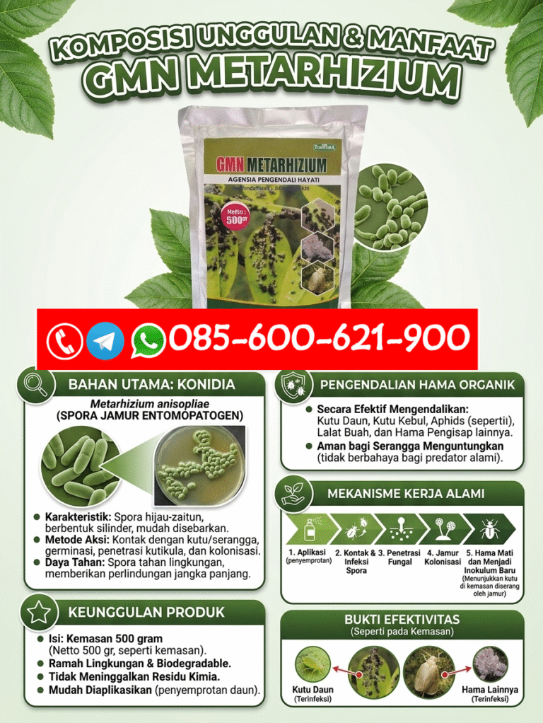 TERBATAS.085-600-621-900, Distributor obat hama kutu daun Labuhanbatu Selatan, Grosir obat hama thrips Deli Serdang, Jual obat hama penggerek batang Serdang Bedagai,
