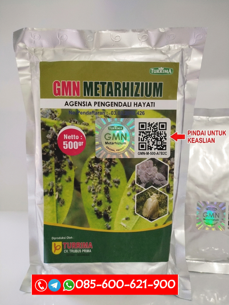 TERBAIK.085-600-621-900, Distributor obat hama kutu daun pelalawan, Grosir obat hama thrips Rokan Hilir, Jual obat hama penggerek batang Bengkalis
