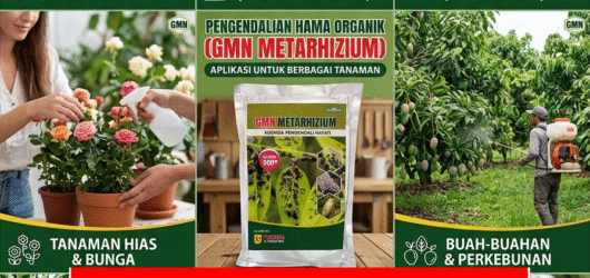 TERBATAS.085-600-621-900, Distributor obat hama original Simalungun, Grosir obat hama anti gagal panen Dairi, Jual obat hama terbaik Deli Serdang