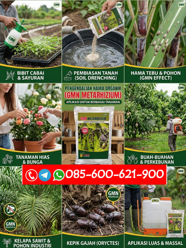 TERBATAS.085-600-621-900, Distributor obat hama original Simalungun, Grosir obat hama anti gagal panen Dairi, Jual obat hama terbaik Deli Serdang