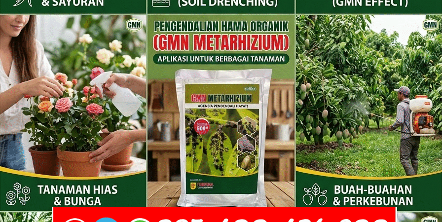 TERBATAS.085-600-621-900, Distributor obat hama original Simalungun, Grosir obat hama anti gagal panen Dairi, Jual obat hama terbaik Deli Serdang