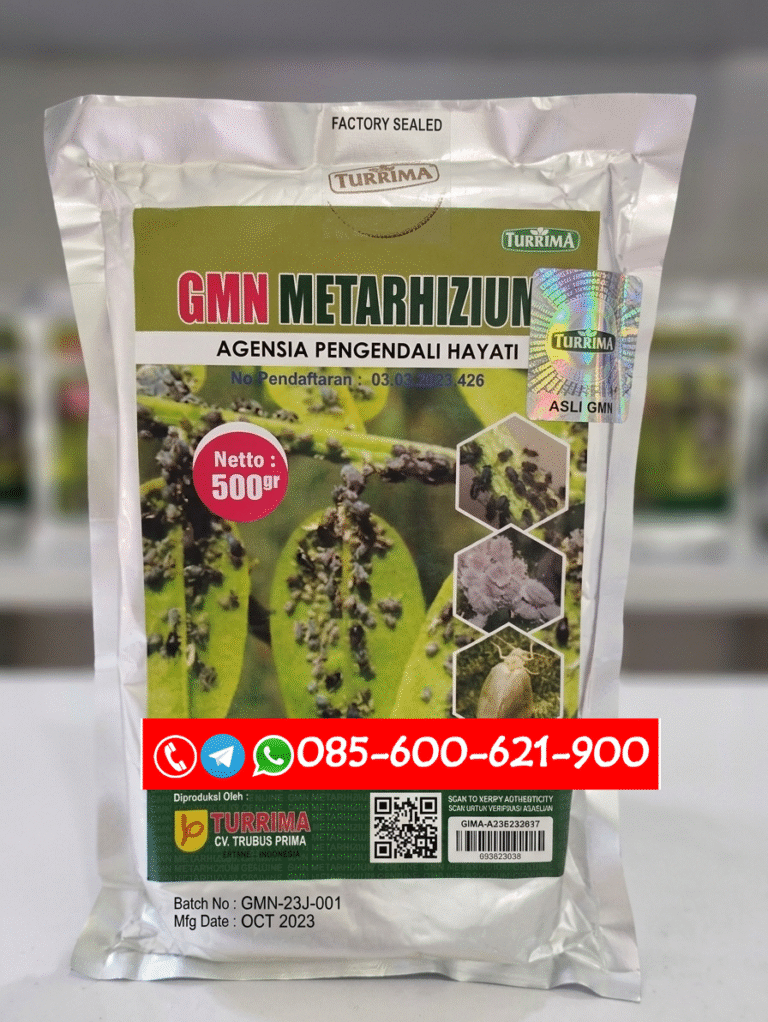 TERBUKTI.085-600-621-900, Agen trichoderma terbaik Brebes, Distributor beauveria bassiana asli Kediri, Grosir obat ulat grayak Lamongan, Jual pestisida hayati organik Jember,