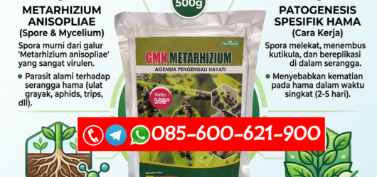 TERBAIK.085-600-621-900, Grosir obat hama anti gagal panen Dairi, Jual obat hama terbaik Deli Serdang, Harga obat hama cepat kerja Langkat