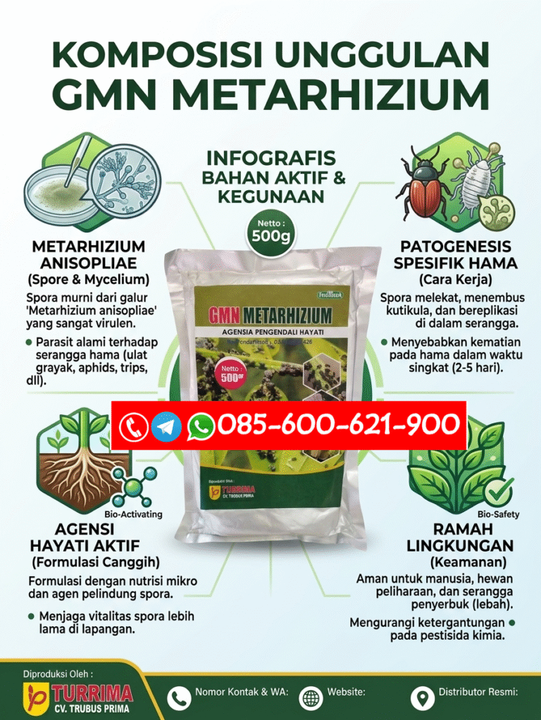 TERBAIK.085-600-621-900, Grosir obat hama anti gagal panen Dairi, Jual obat hama terbaik Deli Serdang, Harga obat hama cepat kerja Langkat