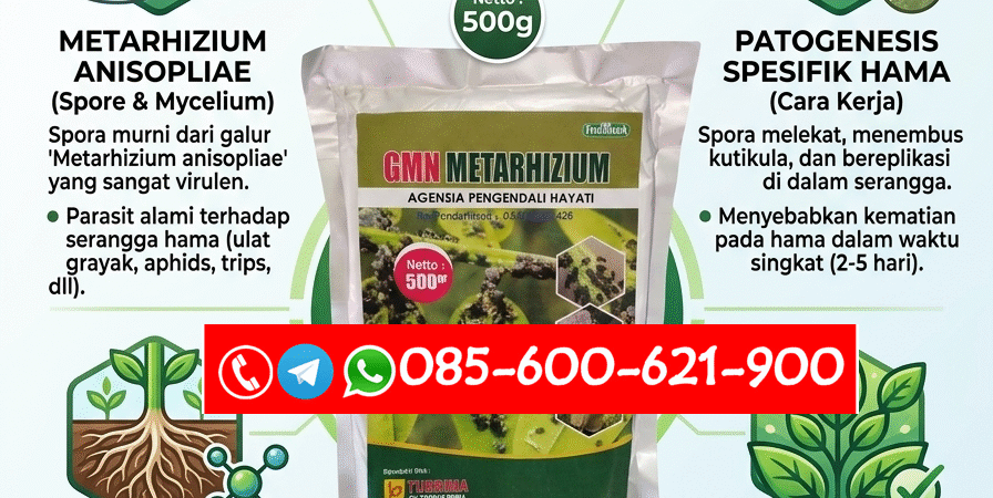 TERBAIK.085-600-621-900, Grosir obat hama anti gagal panen Dairi, Jual obat hama terbaik Deli Serdang, Harga obat hama cepat kerja Langkat