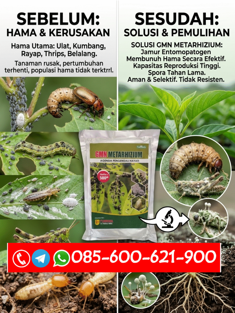 TERBUKTI.085-600-621-900, Grosir obat hama thrips Deli Serdang, Jual obat hama penggerek batang Serdang Bedagai, Harga obat hama tikus Simalungun
