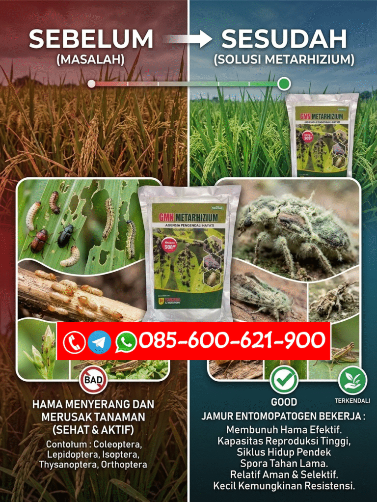 TERBAIK.085-600-621-900, Grosir obat hama thrips Rokan Hilir, Jual obat hama penggerek batang Bengkalis, Harga obat hama tikus Indragiri Hulu