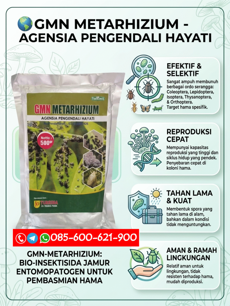 TERBATAS.085-600-621-900, Grosir obat ulat grayak Lamongan, Jual pestisida hayati organik Jember, Harga metarhizium untuk hama tanah Karo,