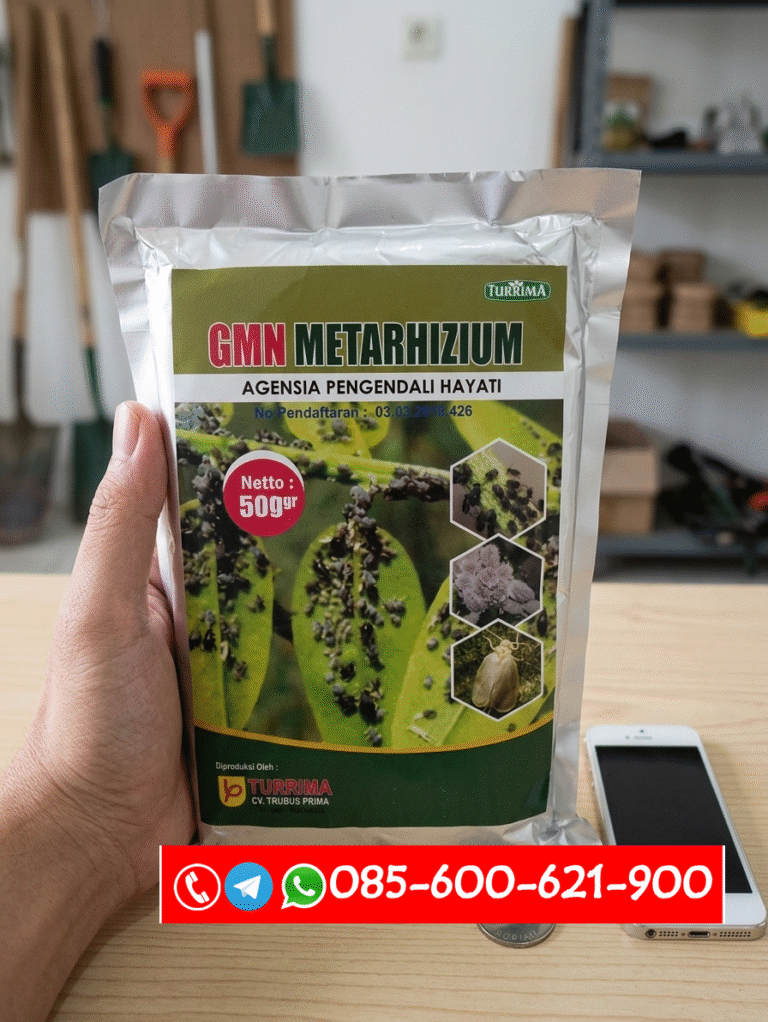 TERBATAS.085-600-621-900, Harga obat hama cepat kerja Langkat, Agen obat hama aman tanaman Serdang Bedagai,