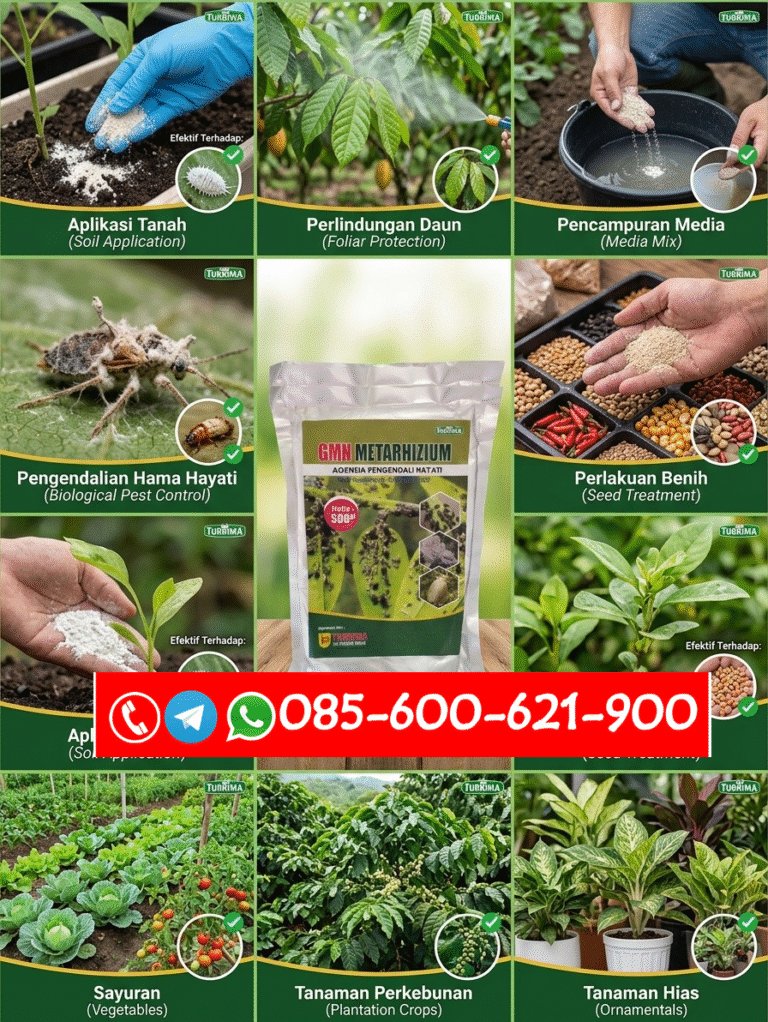 ASLI.085-600-621-900, Harga obat hama tikus Indragiri Hulu, Agen obat hama semut Indragiri Hilir, Distributor obat hama belalang Kuantan Singingi
