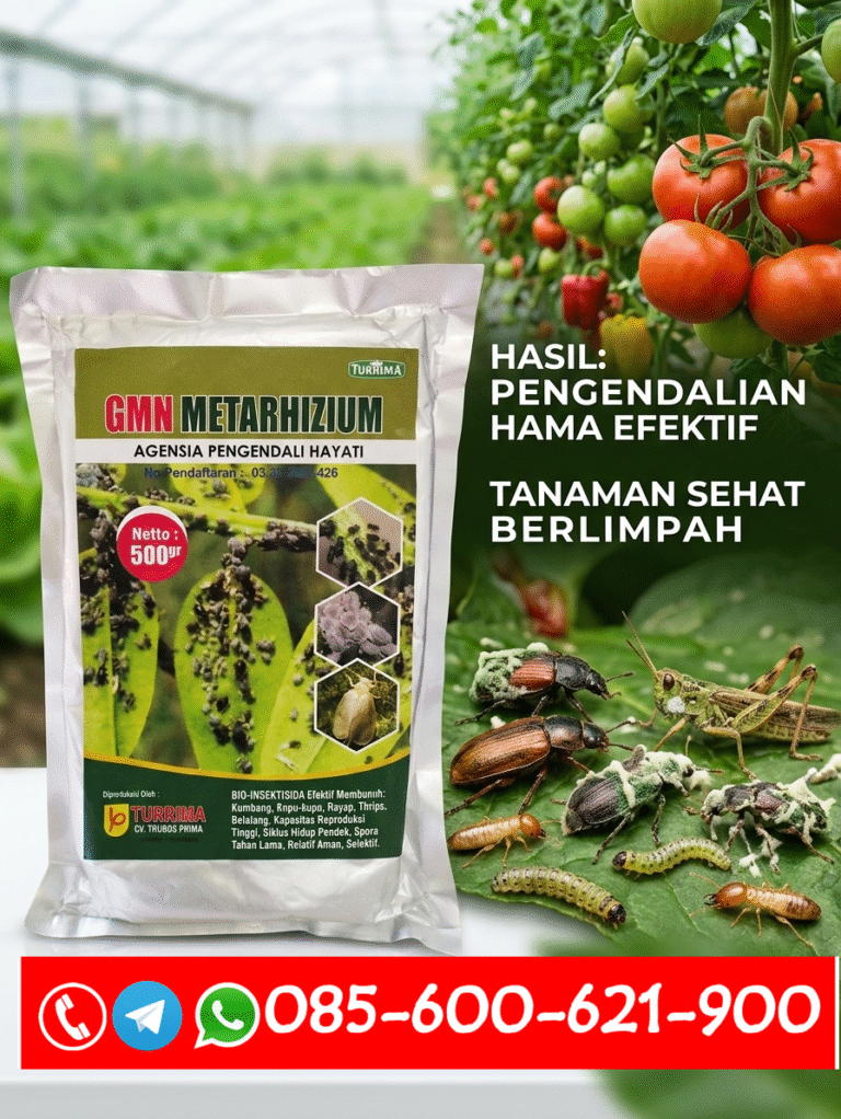 BESAR.085-600-621-900, Jual obat hama penggerek batang Serdang Bedagai, Harga obat hama tikus Simalungun