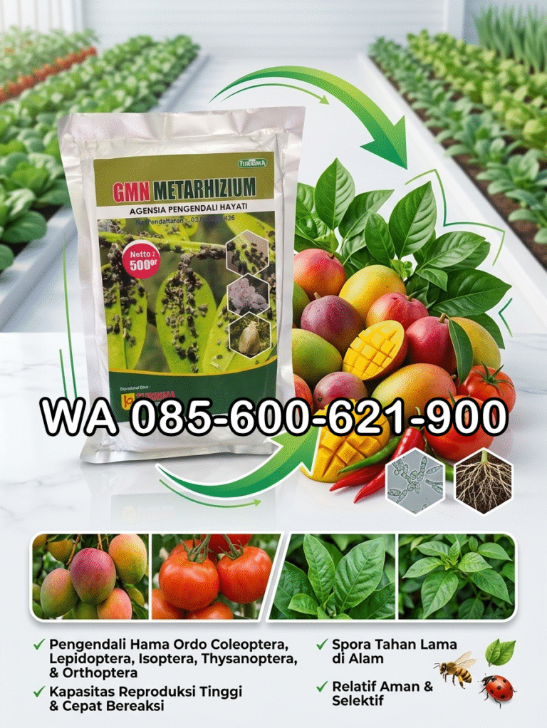 TERBAIK.085-600-621-900, Jual obat hama ulat Lampung Timur, Harga obat hama wereng Lampung Selatan, Agen obat hama kutu putih Lampung Tengah
