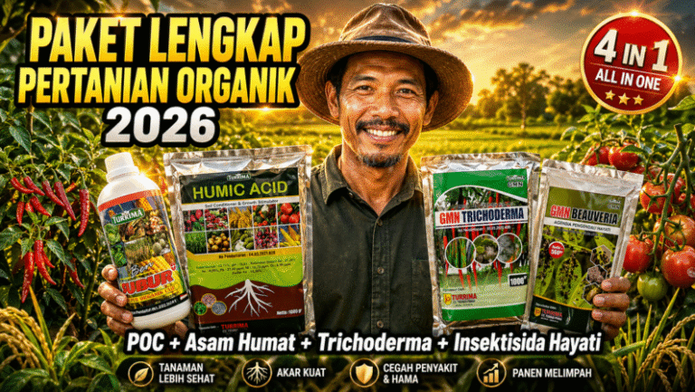 Manfaat POC, Asam Humat, Trichoderma, dan Insektisida Hayati dalam Pertanian Ramah Lingkungan