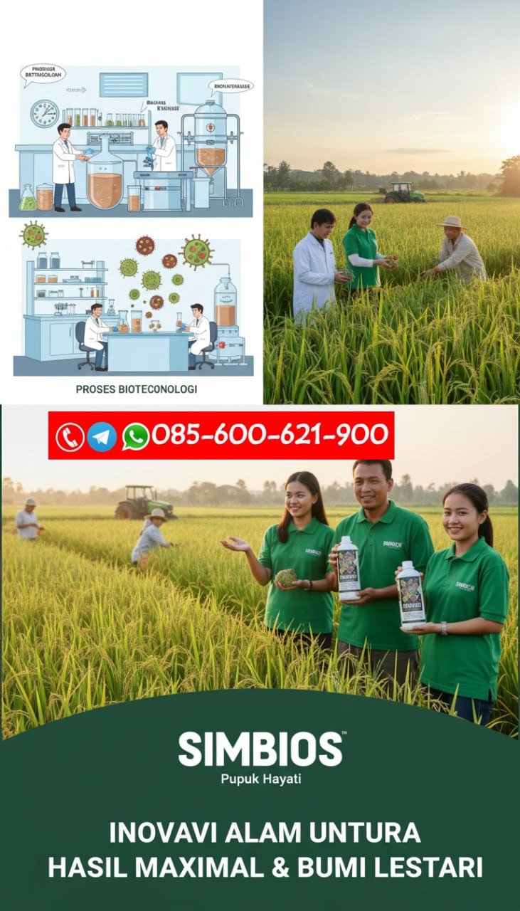 TERBUKTI!!! TELP! 0856-0062-1900, PABRIK Obat Jagung Anoman anti bulai Lampung Barat, JUAL Obat Jagung Pandu anti ulat Mesuji
