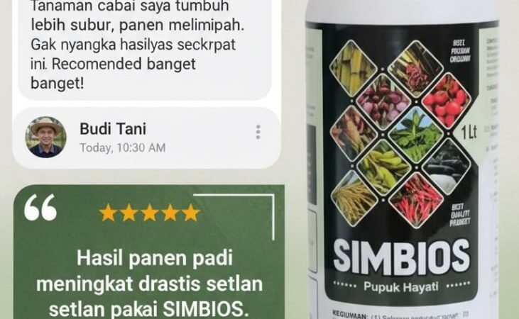 ORGANIK!!! TELP! 0823-2292-4990, PRODUSEN Pupuk Jagung gigi kuda agar batang besar Pasaman, TOKO Pupuk Jagung mutiara alami Sijunjung