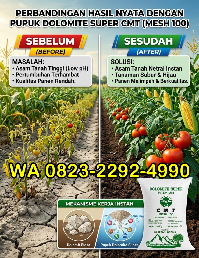 TERBUKTI!!! TELP! 0823-2292-4990, AGEN Pupuk dolomit untuk menetralkan tanah asam Kapuas, DISTRIBUTOR Pupuk dolomit untuk tanaman padi Palangkaraya