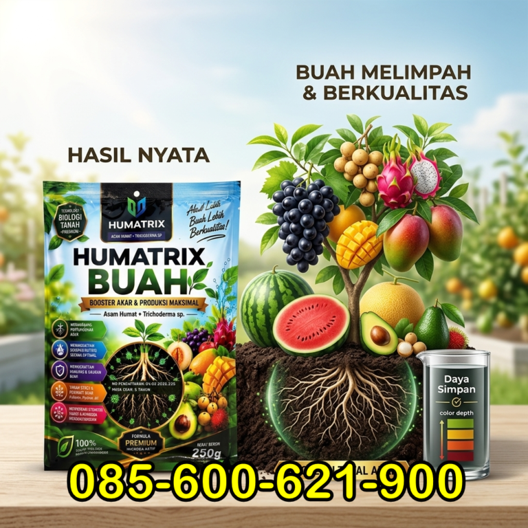 WA 085-600-621-900, Produsen pupuk penyubur tanah Kediri, Pabrik pupuk penggembur tanah Pasuruan, Grosir asam humat pembenah tanah Probolinggo