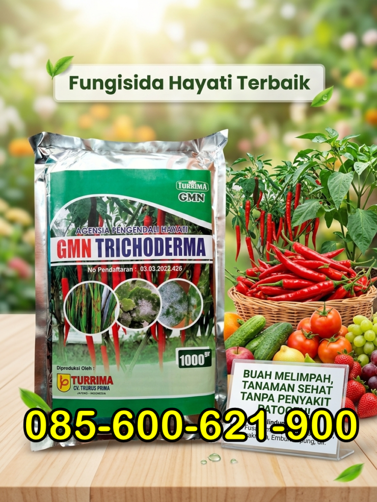 TERBARU.085-600-621-900, Distributor obat patek cabe rawit Jombang, Produsen obat patek cabe alami Kediri, Pabrik obat patek cabe keriting Pasuruan,