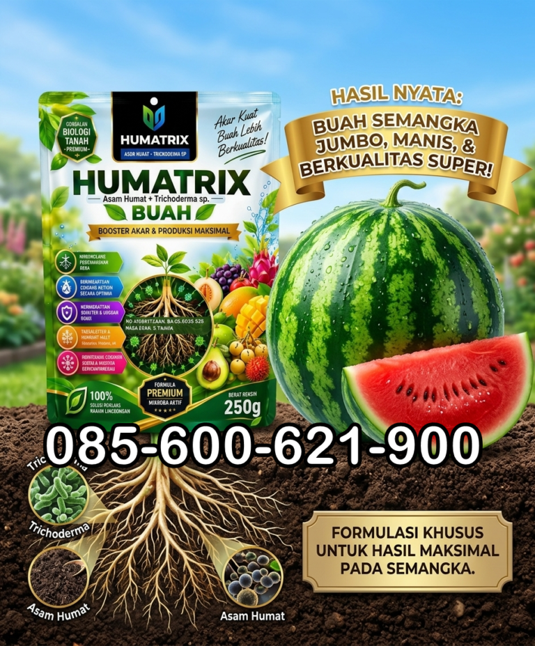 TERBAIK.085-600-621-900 Distributor pupuk semangka agar buah besar Jombang, Produsen pupuk semangka fase generatif Lumajang