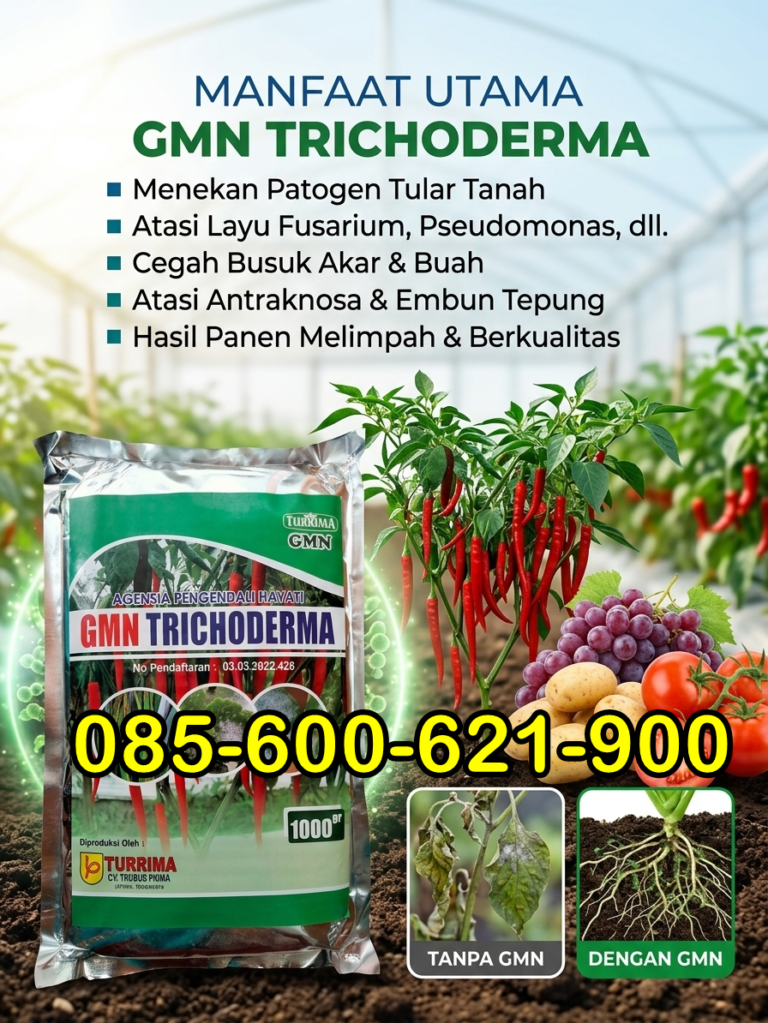 SUBUR.085-600-621-900, Grosir obat busuk batang pada tanaman bawang daun Probolinggo, Supplier obat busuk batang pohon durian Lumajang, Toko obat busuk batang tomat Trenggalek