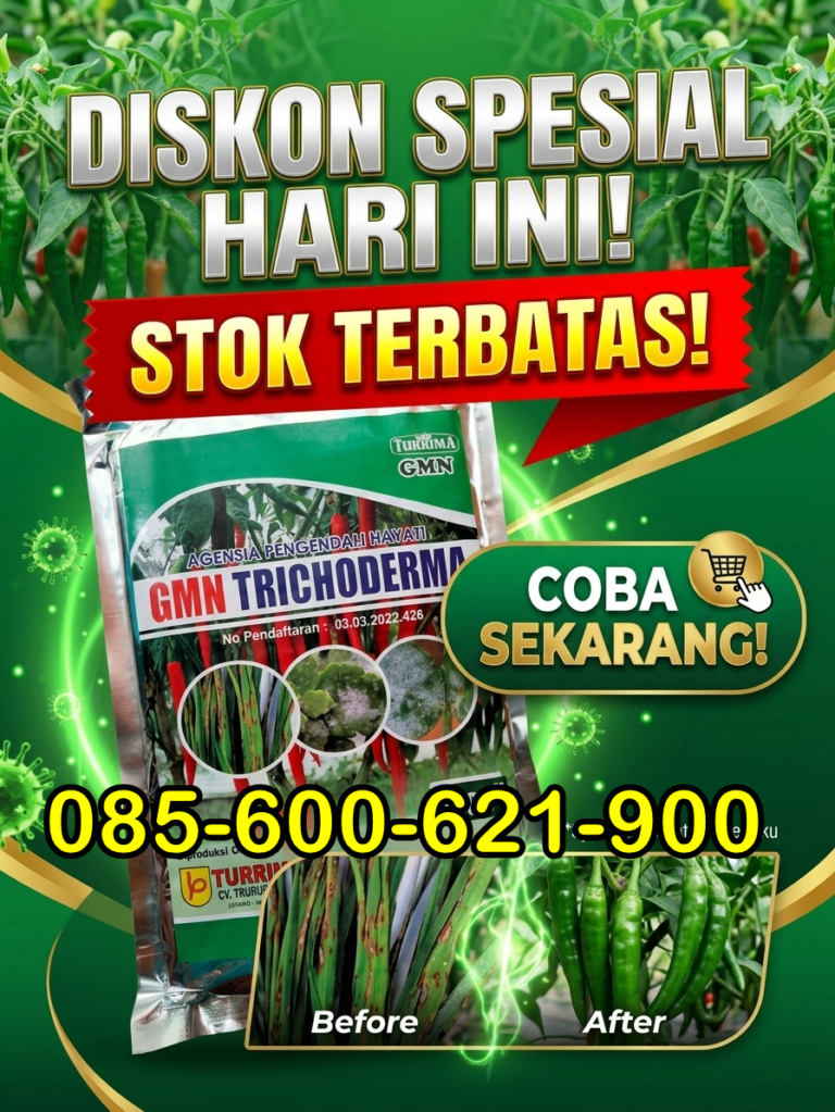 TERBATAS.085-600-621-900, Grosir obat patek cabe organik Probolinggo, Supplier obat patek cabe yang ampuh Lumajang, Toko obat patek buah cabe Trenggalek,