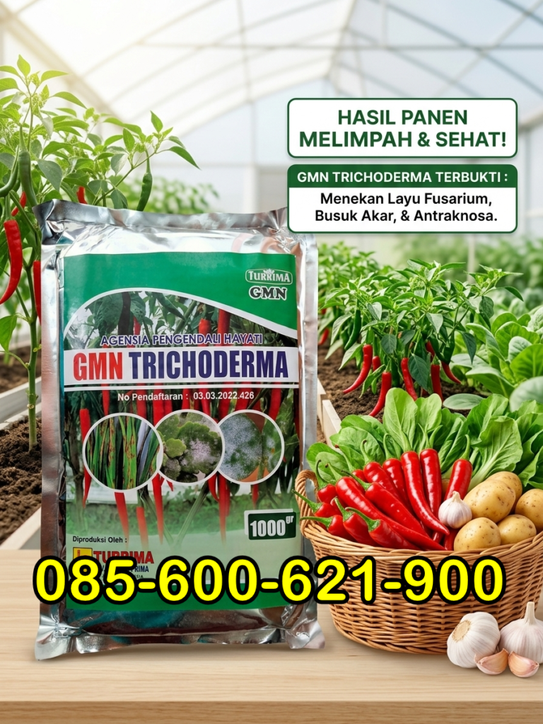 ONLINE.085-600-621-900, Harga obat patek cabe paling alami Jember, Agen obat patek cabe rawit paling ampuh Malang, Distributor obat patek cabe rawit Jombang