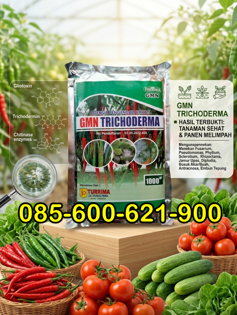 AMPUH.085-600-621-900, Pabrik obat busuk batang jagung paling ampuh Pasuruan, Grosir obat busuk batang pada tanaman bawang daun Probolinggo, Supplier obat busuk batang