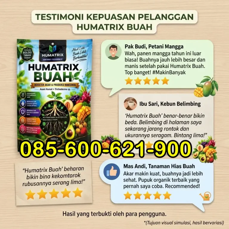 SUBUR.085-600-621-900, Pabrik pupuk booster buah Pasuruan, Grosir pupuk untuk memperbesar buah Probolinggo, Supplier pupuk untuk meningkatkan produksi buah Lumajang