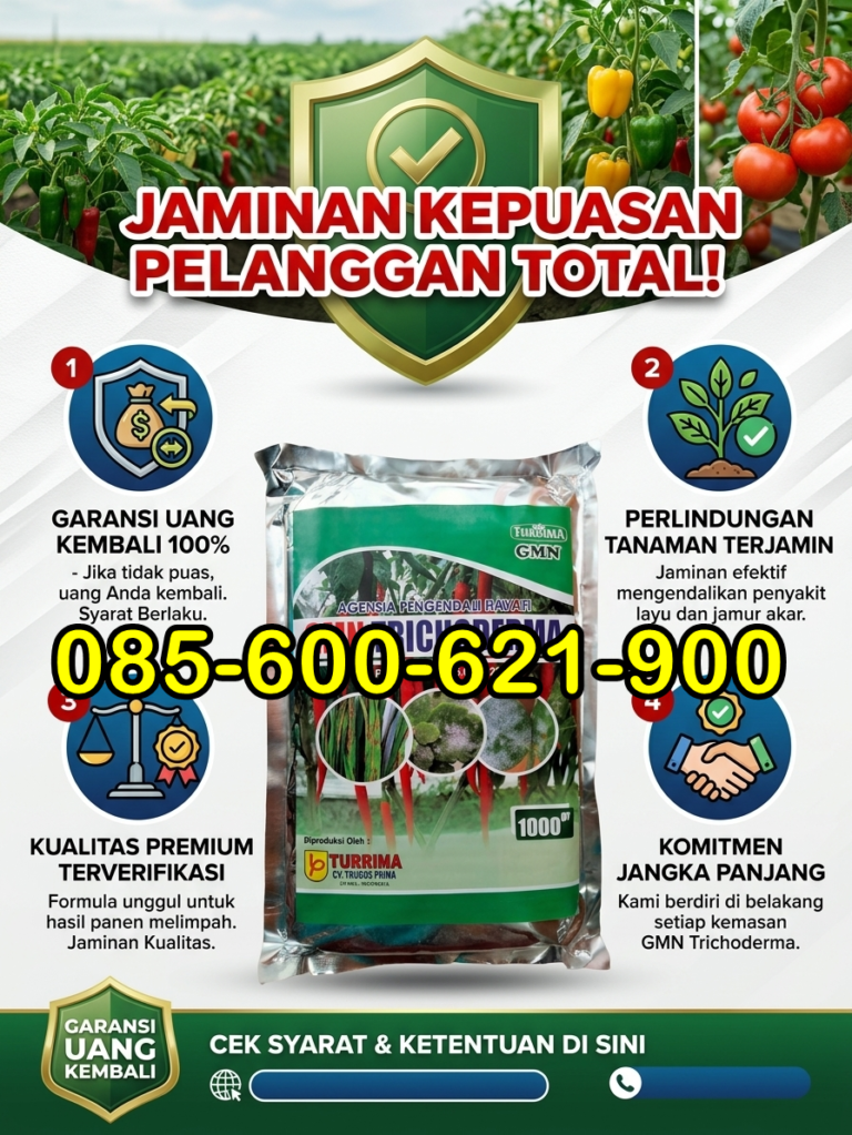 ASLI.085-600-621-900, Produsen obat busuk batang padi Kediri, Pabrik obat busuk batang jagung paling ampuh Pasuruan, Grosir obat busuk batang pada tanaman bawang daun Probolinggo