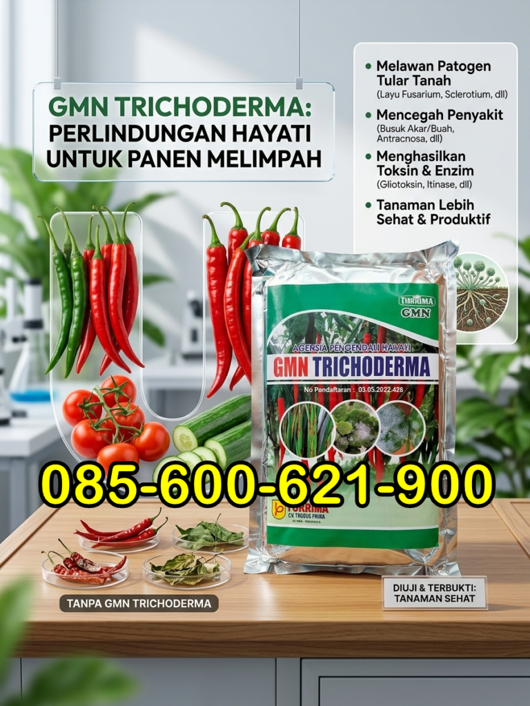 ASLI.085-600-621-900, Produsen obat patek cabe alami Kediri, Pabrik obat patek cabe keriting Pasuruan, Grosir obat patek cabe organik Probolinggo