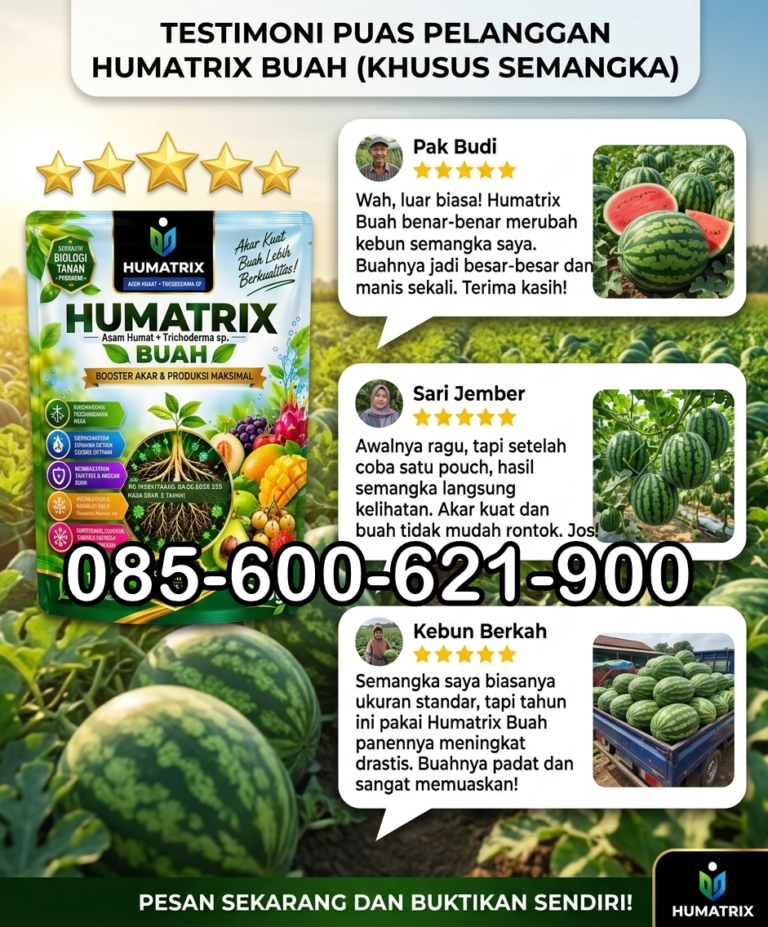 SUPER.085-600-621-900, Pusat pupuk semangka layu fusarium Muncar, Jual pupuk daun semangka menguning Wongsorejo
