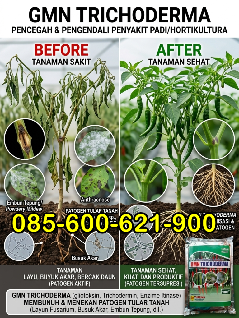 ONLINE.085-600-621-900, Supplier obat patek cabe yang ampuh Lumajang, Toko obat patek buah cabe Trenggalek, Pusat obat patek antraknosa pada cabai Ponorogo