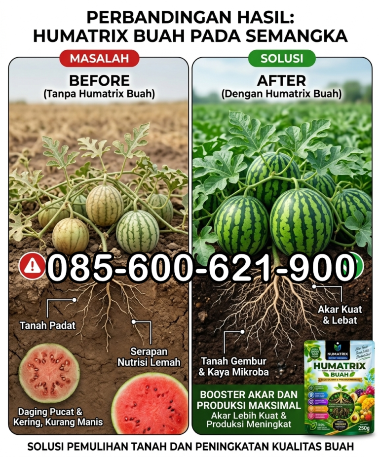 TERBAIK.085-600-621-900, Supplier pupuk semangka cepat berbuah Kendal, Toko pupuk penyakit tanaman semangka Pati