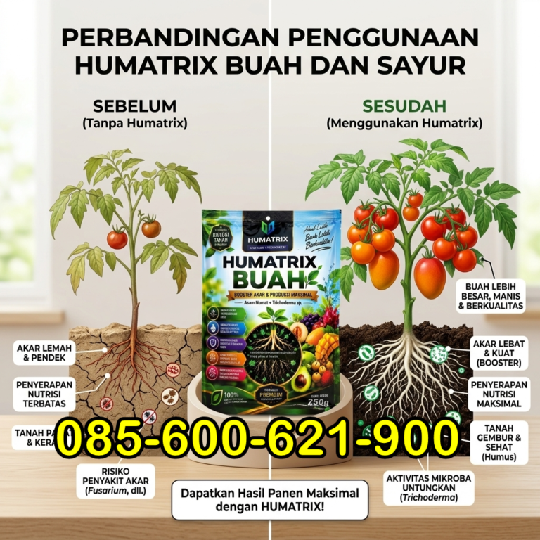 AMPUH.085-600-621-900, Supplier pupuk untuk meningkatkan produksi buah Tegal, Toko pupuk humatrix buah Pemalang, Pusat pupuk humatrix Pati,