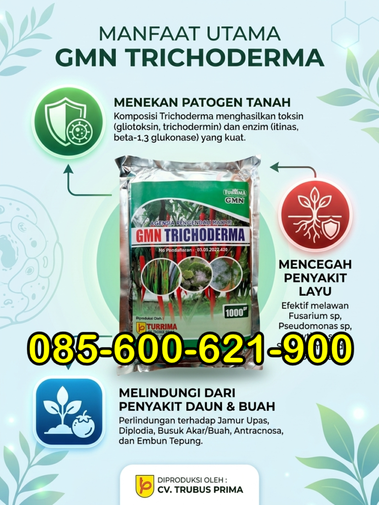 AMPUH.085-600-621-900, Toko obat busuk batang tomat Trenggalek, Pusat obat busuk batang terong Ponorogo, Jual obat busuk batang cabe paling ampuh Banyuwangi,