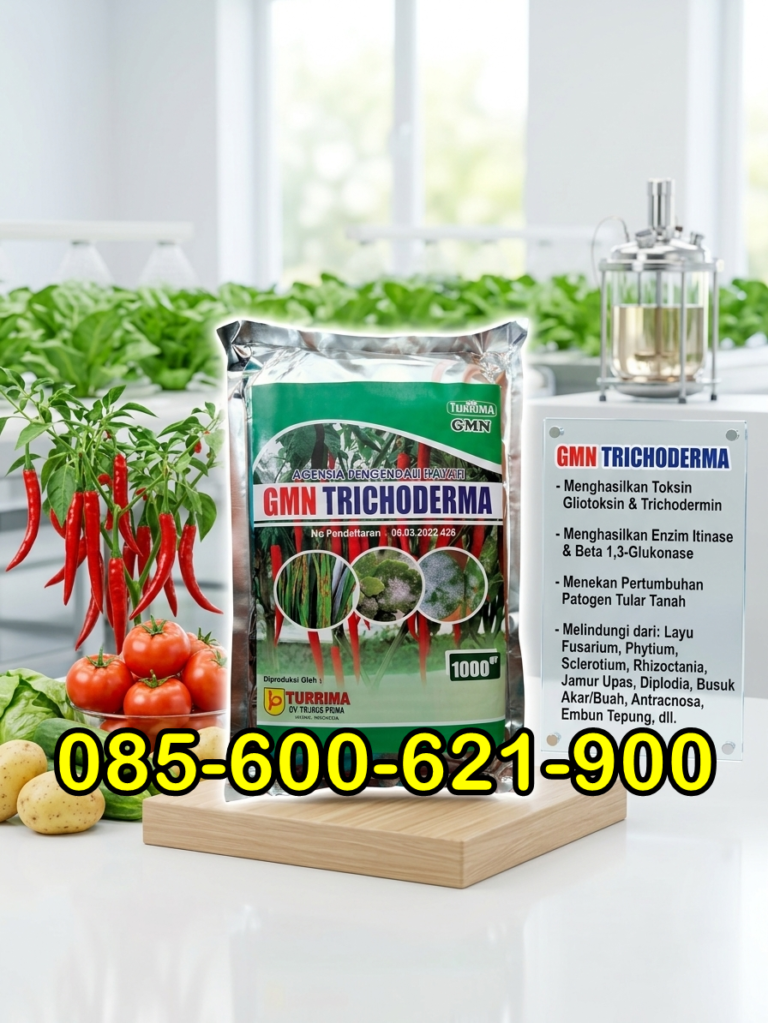 SUBUR.085-600-621-900, Toko obat patek buah cabe Trenggalek, Pusat obat patek antraknosa pada cabai Ponorogo, Jual obat patek cabe paling ampuh Banyuwangi,