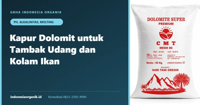Dolomit untuk Tambak Udang dan Kolam Ikan: Fungsi dan Cara Pakai