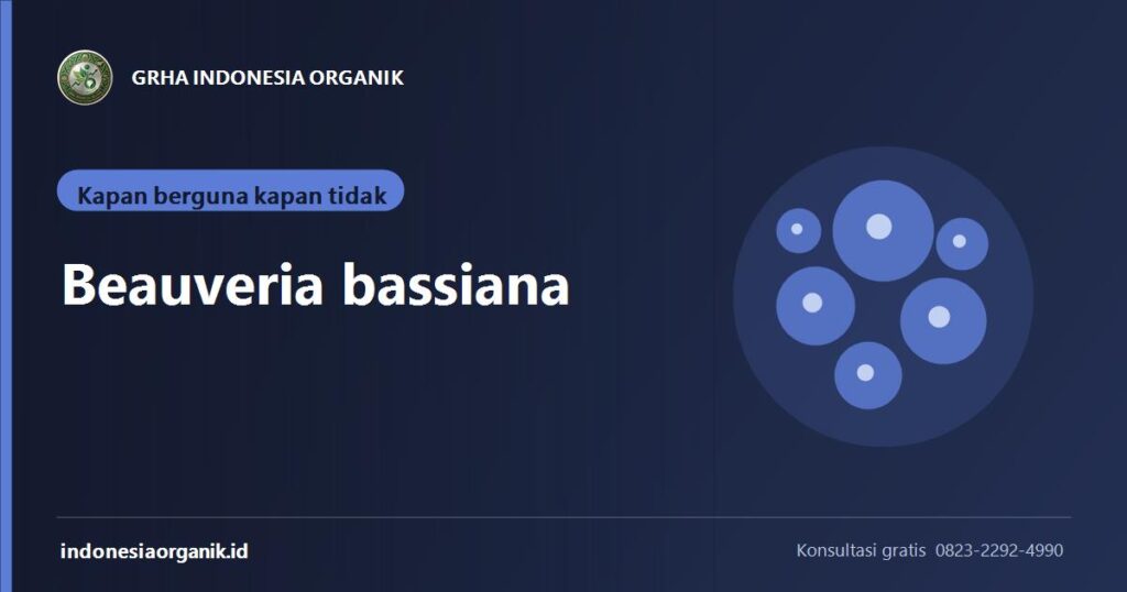 Banner artikel Beauveria bassiana