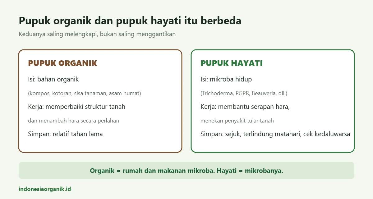 Perbedaan pupuk organik dan pupuk hayati