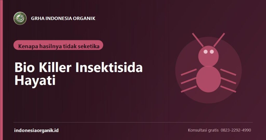 Banner artikel Bio Killer insektisida hayati untuk kutu putih dan wereng dari Grha Indonesia Organik