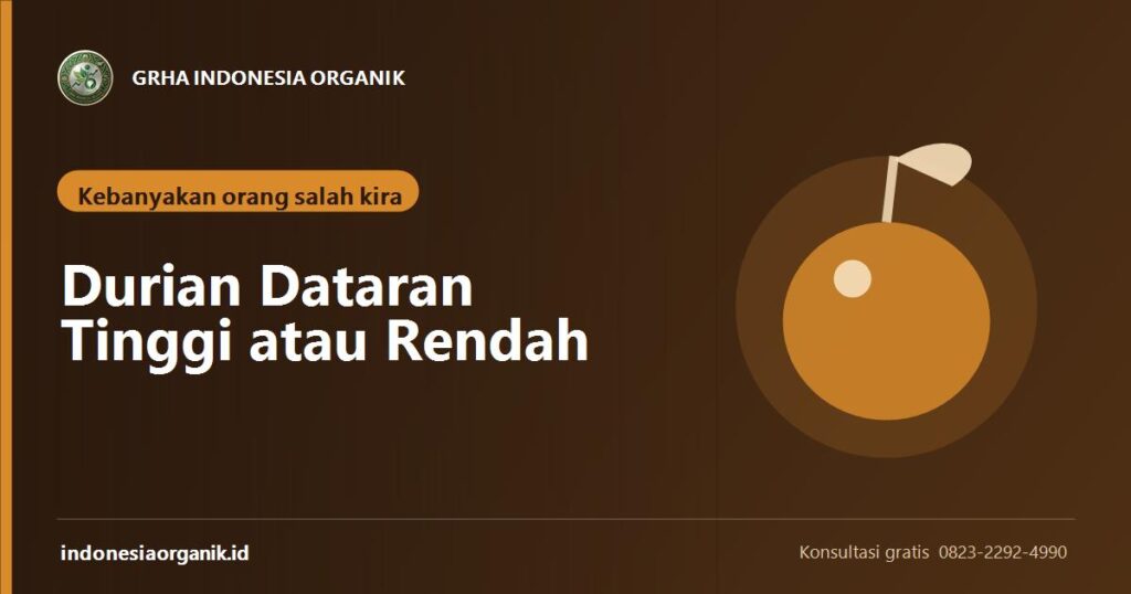 Banner artikel ketinggian ideal untuk menanam durian dari Grha Indonesia Organik