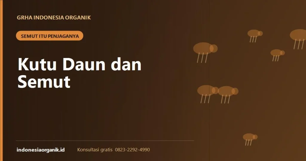 Banner artikel kutu daun dan semut