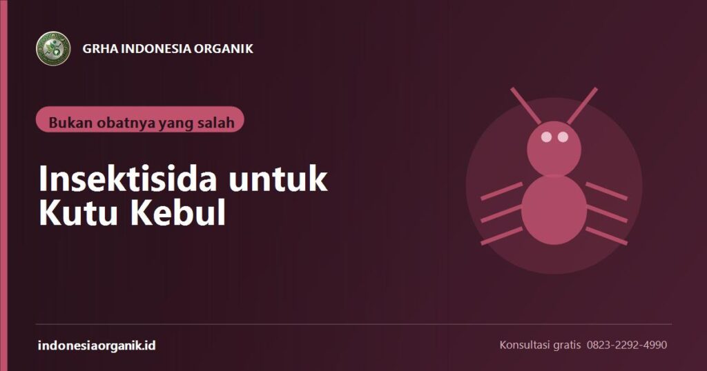 Banner artikel insektisida untuk kutu kebul dan penyebab penyemprotan gagal dari Grha Indonesia Organik
