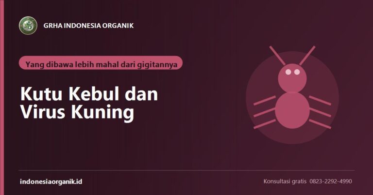 Kutu Kebul dan Virus Kuning pada Cabe: Yang Dibawa Lebih Mahal dari Isapannya