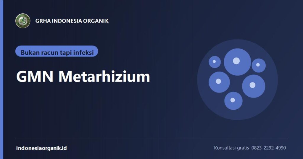 Banner artikel sasaran hama dan dosis GMN Metarhizium dari Grha Indonesia Organik