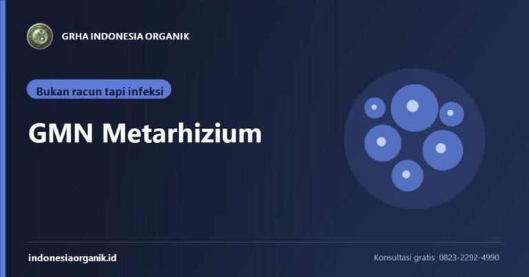 GMN Metarhizium: Sasaran Hama, Dosis, dan Cara Kerjanya