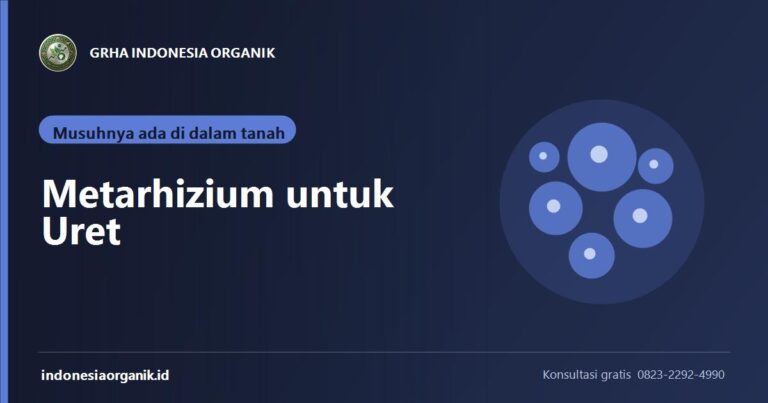 Metarhizium untuk Uret dan Hama Tanah: Cara Kerja dan Aplikasi yang Benar
