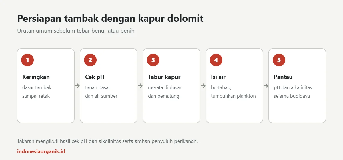 Urutan persiapan tambak dengan kapur dolomit