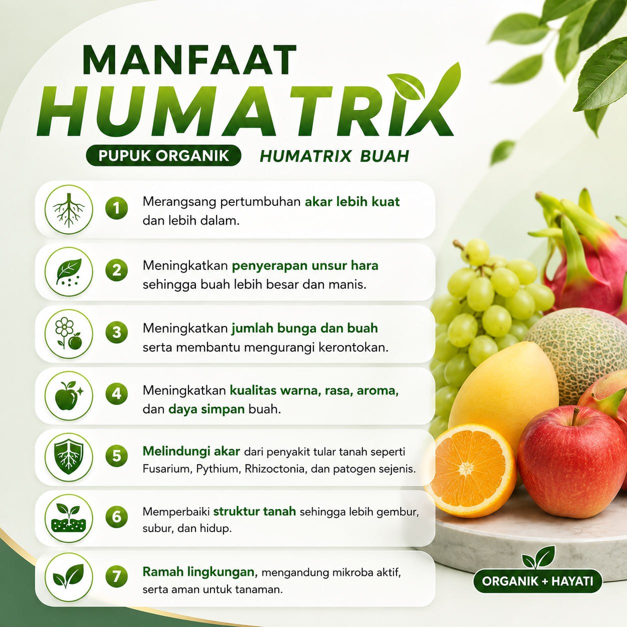 HUMATRIX buah serbuk organik PLUS ASAM HUMAT, Pupuk anti rontok bunga dan buah durian bebas penyakit tanaman - Gambar 4